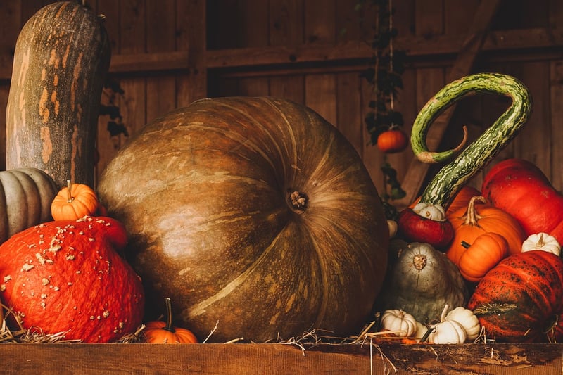 Fall Recipes